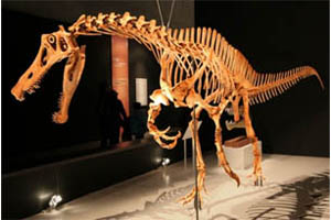 Dinossauros