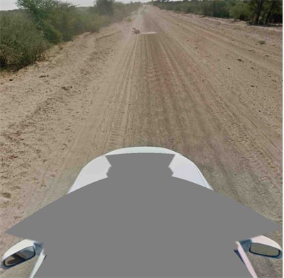 Google nega atropelamento de burro com o carro de rua no botswana