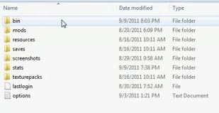 Minecraft bin folder
