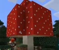 Mushroom Biomes