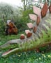 Steagosaurus | Dinossauros | Brasil Blogs