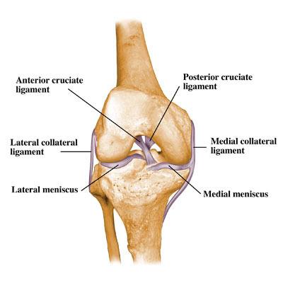 Cirurgia de ligamento do joelho