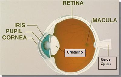 O que é Descolamento de retina