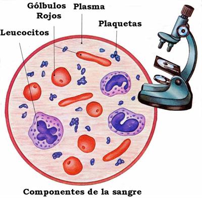 O que são grupos de sangue