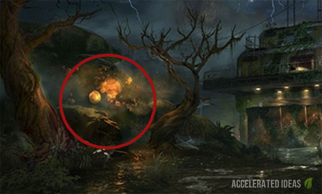 Mushroom/Fungus Spores