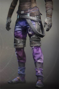 Gemini Jester exotic