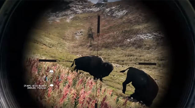 Sniper shooting Bison