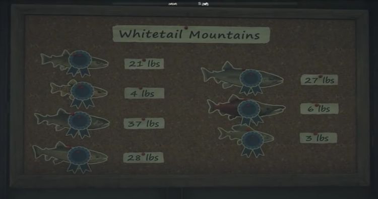 Fishing record board example