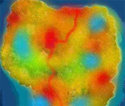 Llama heat map for Season 5 Week 1