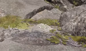 Dig spot for treasure