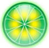 Best Limewire alternatives - file sharing, P2P, BitTorrent