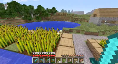Minecraft Xbox 1.3 Features - Enchanting, XP, Potions and Breeding