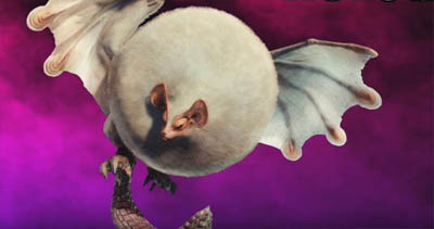 Paolumu