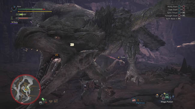 Rathian Elder Dragon fight