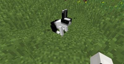 Minecraft 14w27a Features - Rabbits, Potion of Leaping, Jump Boost