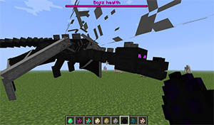 Ender Dragon