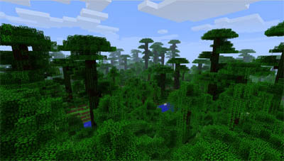 Download Minecraft 1.2 - Snapshot 12w03