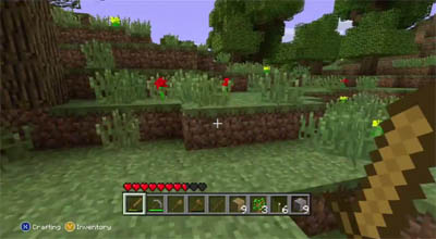 Minecraft Xbox 360 Questions - Xbox subscription type, Minecraft usernames, achivements