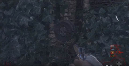 Other skull button on wall