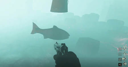 Fish bucket challenge