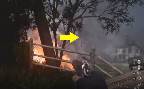 Rope dangling from tree