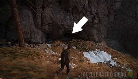 Carved Nut Bottle - treasure location