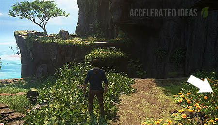 Mughal Elephant Carving - location