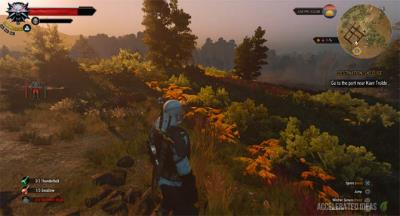 Witcher 3 - Griffin Upgrade Diagram Locations (Enhanced, Superior, Mastercrafted)