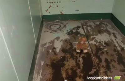 Mob of the Dead - Teddy bear room